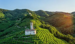Paesaggio_Conegliano_Valdobbiadene
